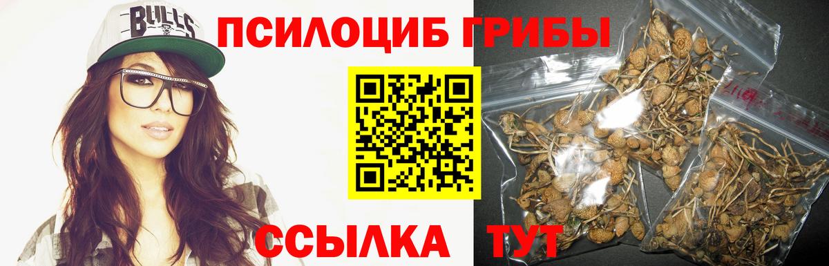 Жигулёвск  магазин продажи   Галлюциногенные грибы GOLDEN TEACHER  Вход с VPN  Галлюциногенные грибы мухоморы 
